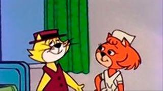 Top Cat Falls in Love