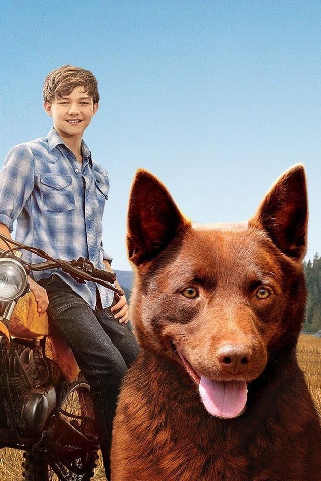 Red Dog: True Blue