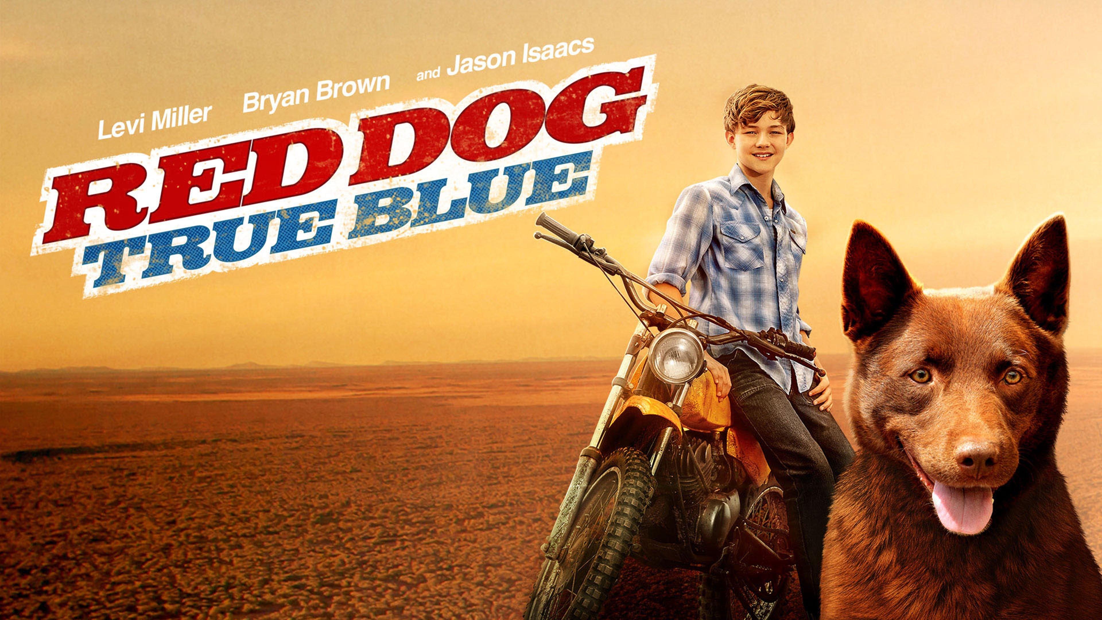 Watch Red Dog: True Blue Streaming Online on Philo (Free Trial)