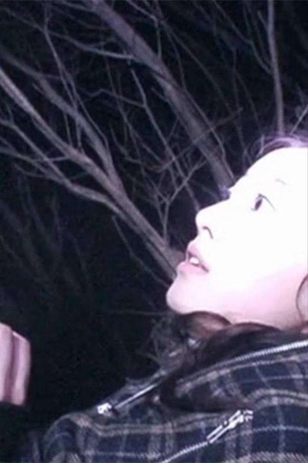 Noroi: The Curse