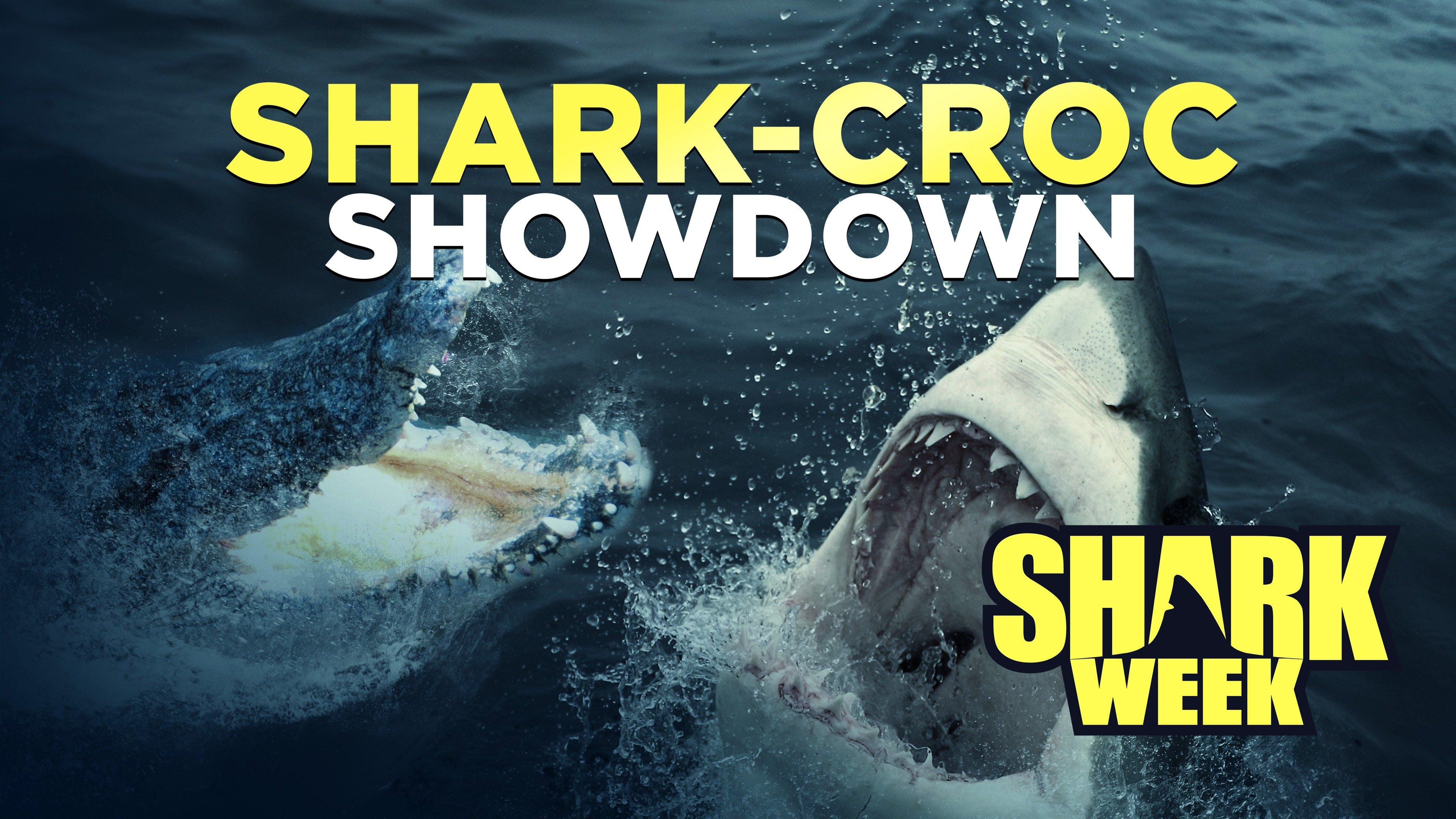 Watch SharkCroc Showdown Streaming Online on Philo (Free Trial)