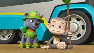 PAW Patrol