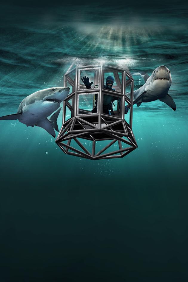 Shark House