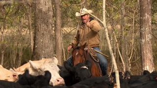 The Cowboy Way