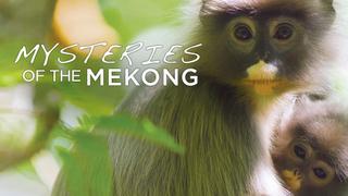 Mysteries of the Mekong