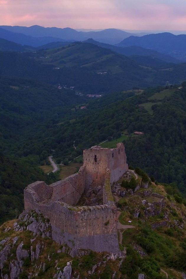 Wild Castles