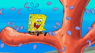 SpongeBob SquarePants