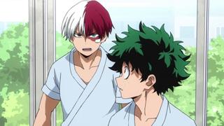 The Aftermath of Hero Killer: Stain