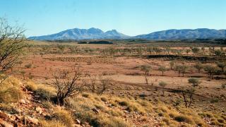 Surviving the Arid Heart Surviving the Arid Heart