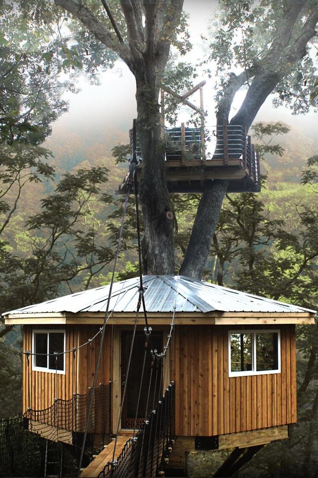 Canopy Kings