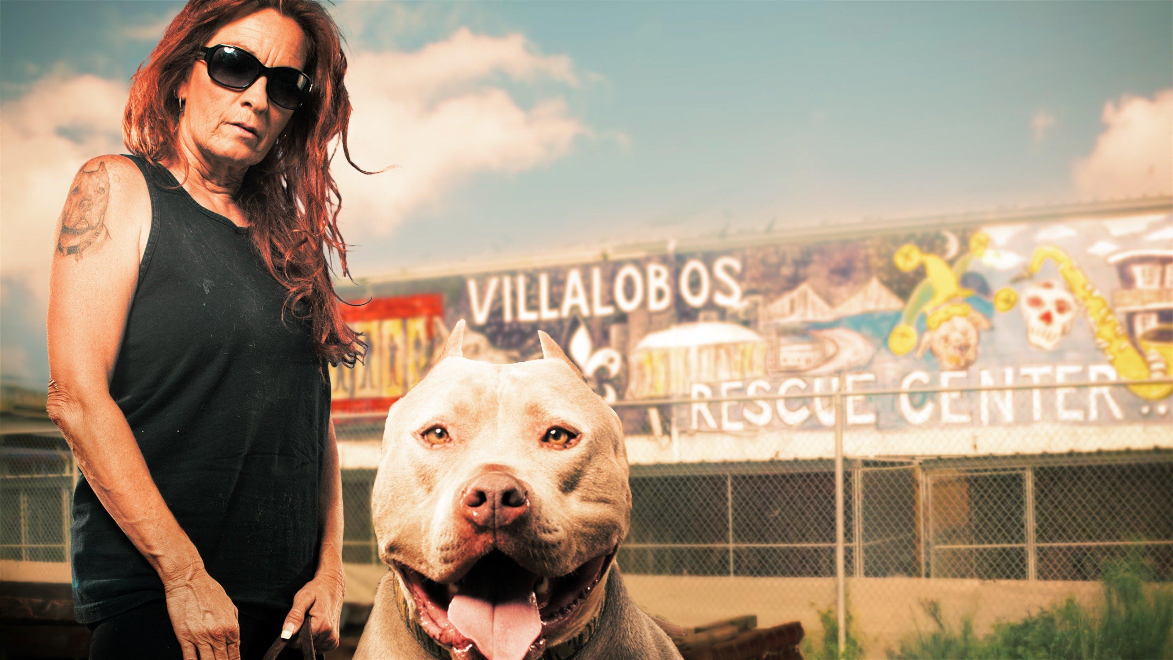 Is Aj From Pitbulls And Parolees Still In Jail 60 - xtwguga