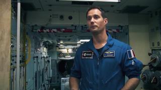 The Astronauts