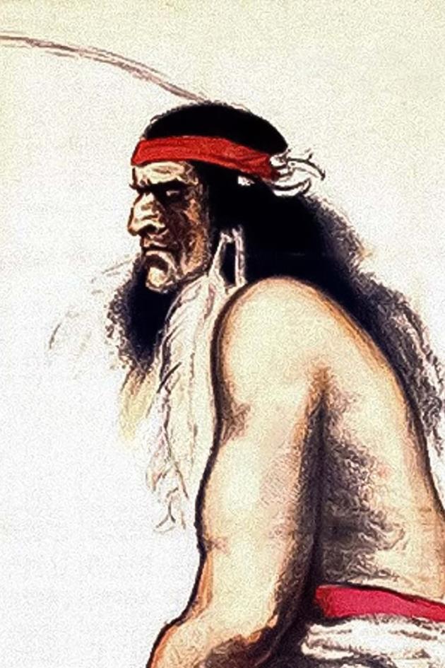 The Last of the Mohicans