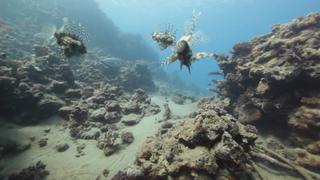 Biscayne National Park