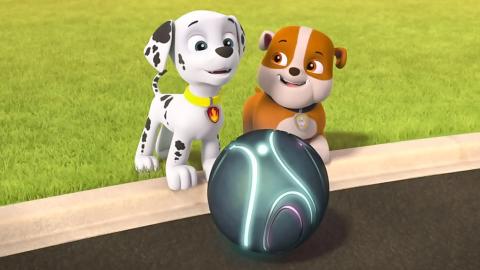 Pups Save a Space Rock; Pups Save a Good Mayor