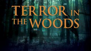 Terror in the Woods