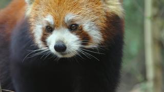Cambodia: Hidden Refuges