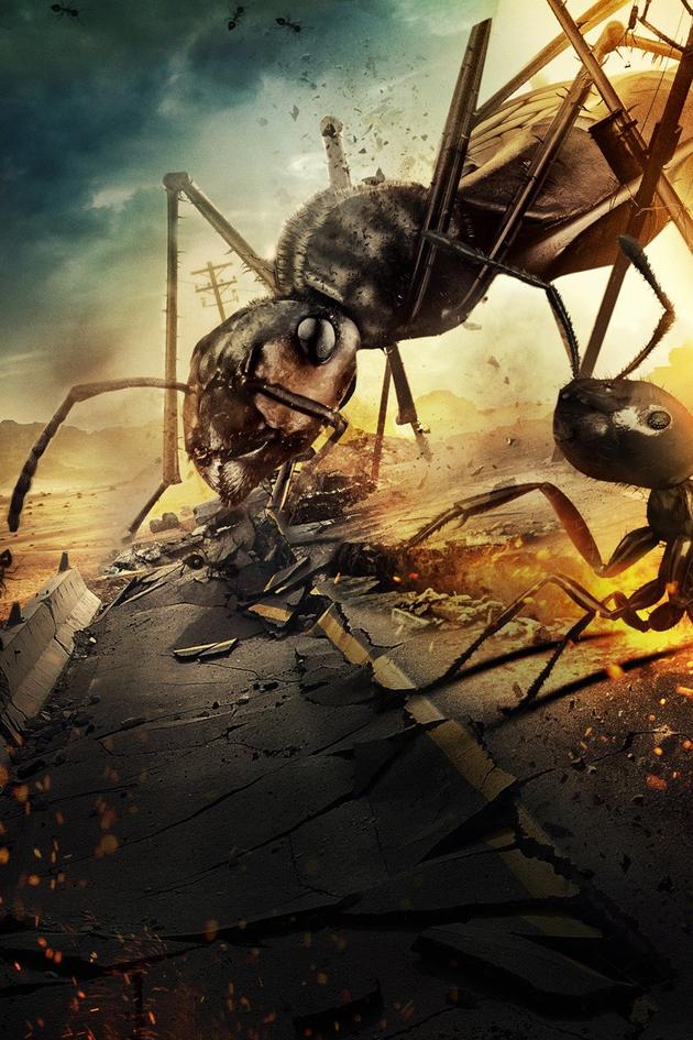 Dead Ant