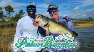 Hooked on the Palm Beaches
