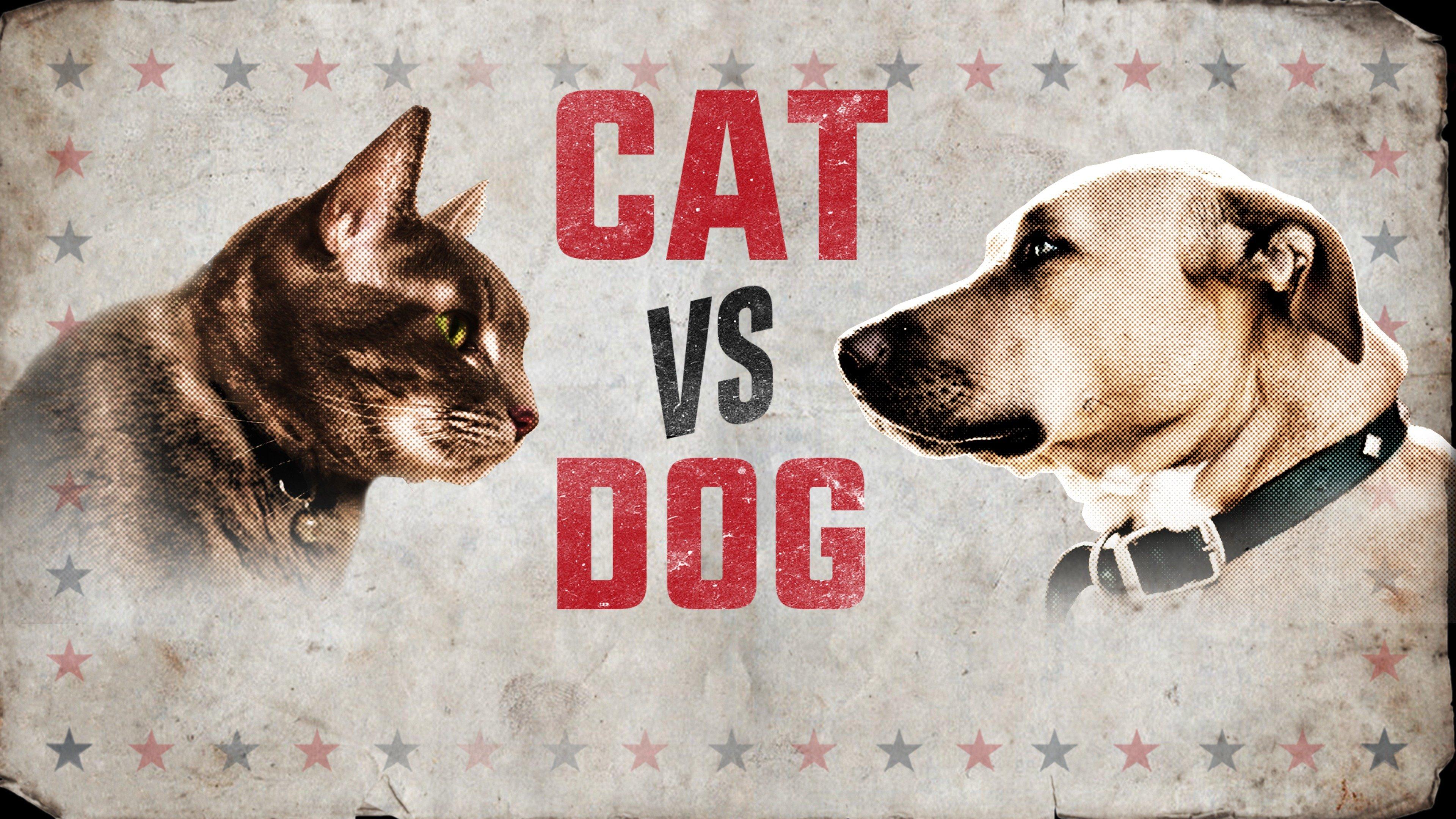 Is five dogs. Dog vs. Cat. Cats vs Dogs dataset. Cat vs Dog game. Vs Cat.