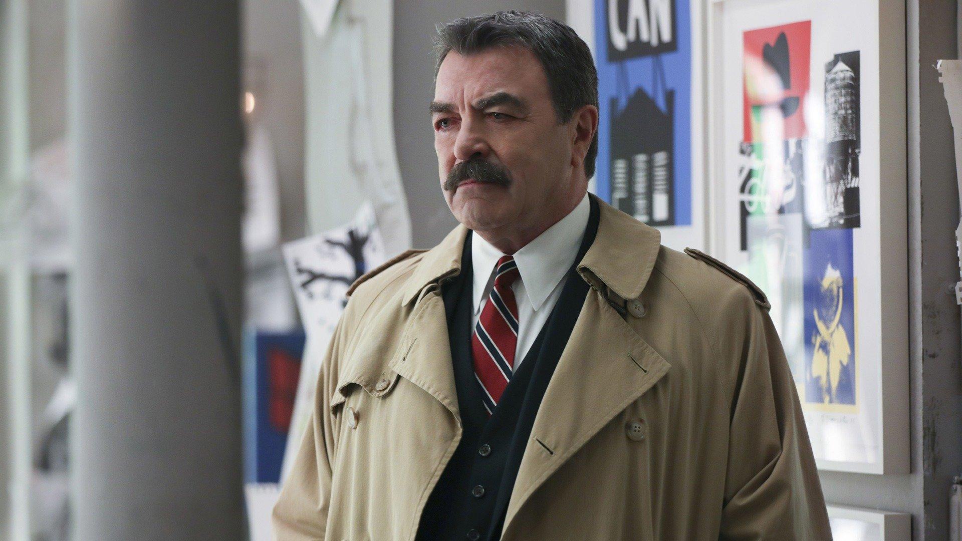 Blue Bloods: Brushed Off