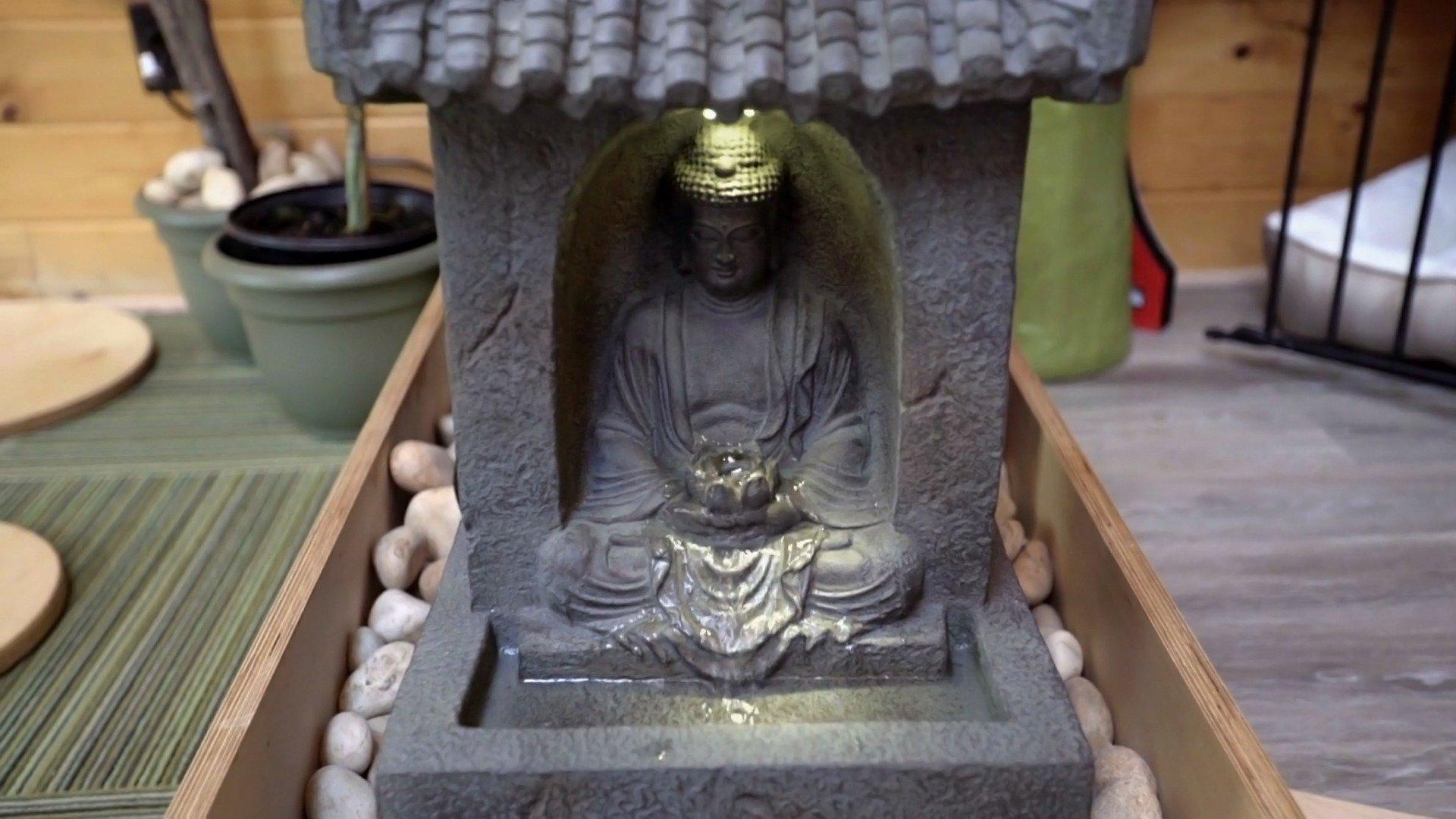 Animal Cribs Senior Dog's Decked Out Dorm