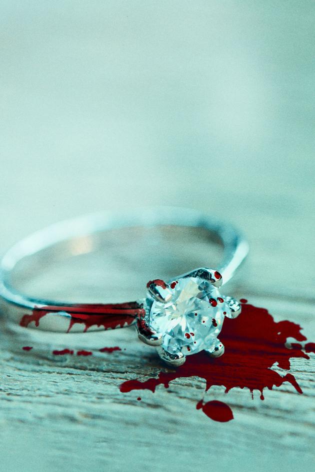 Framed by My Fiancé