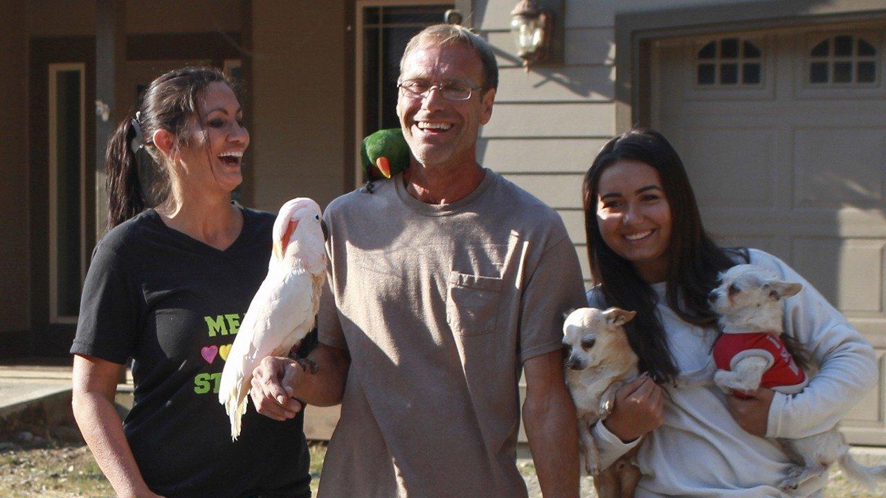 Animal Cribs Superfly Parrot Palace