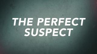 The Perfect Suspect
