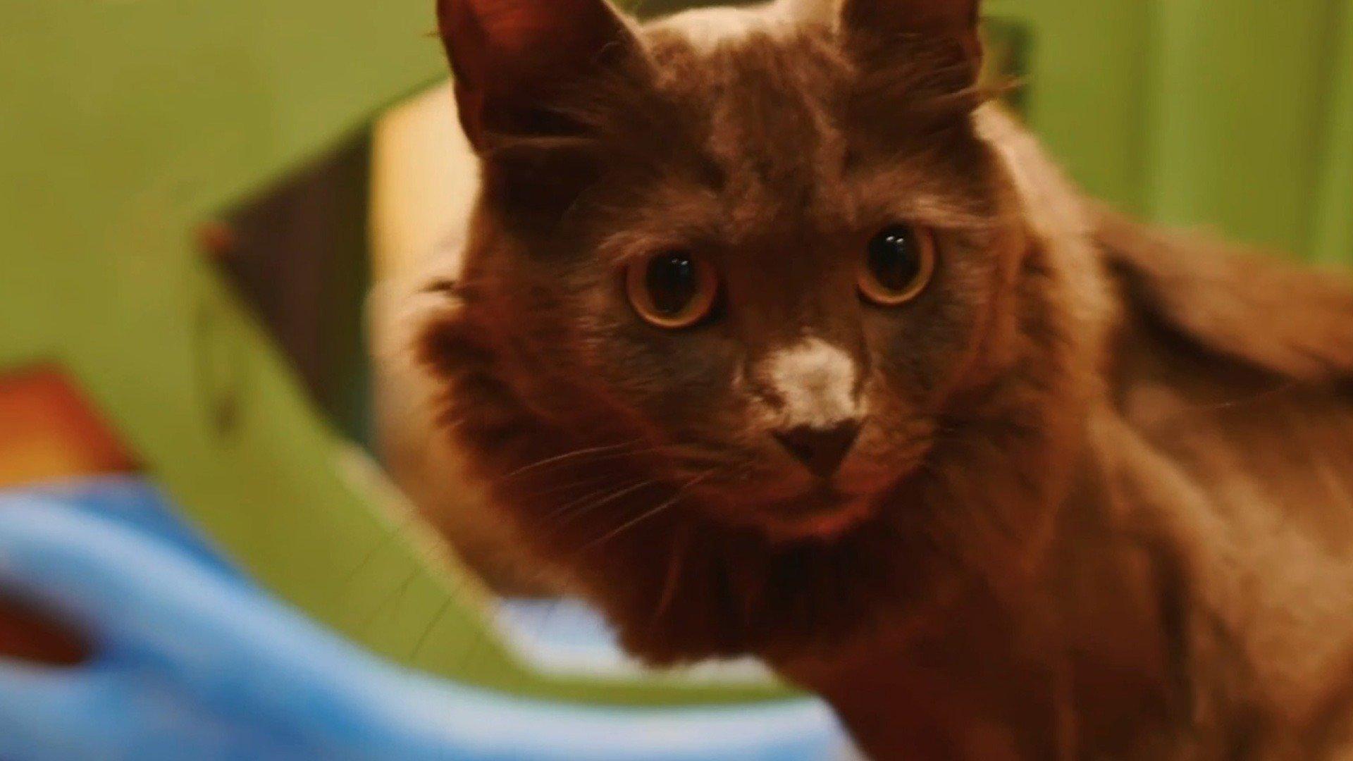 Animal Cribs Ultimate Builds