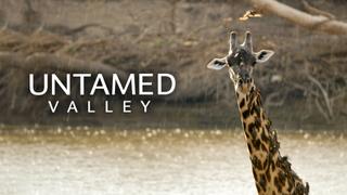 Untamed Valley