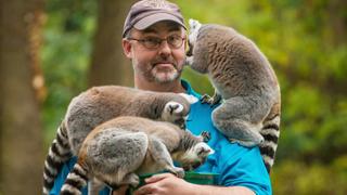 Lady Boss Lemur