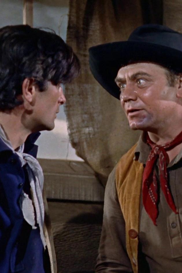 Johnny Guitar