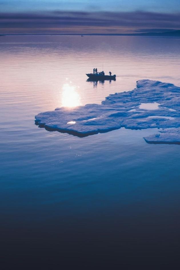 Arctic Peril