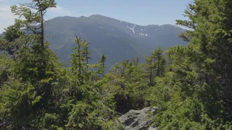 San Juan National Forest