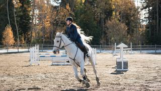 Heartland