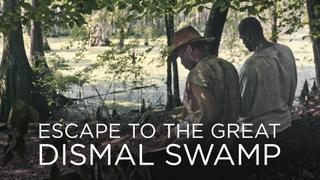 Escape to the Great Dismal Swamp