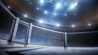 Origin of UFC Warriors