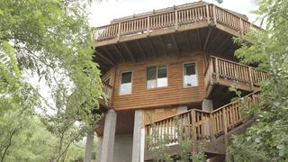 Winding Down on Mount Lemmon