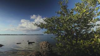Florida Parks: Hurricane Recovery