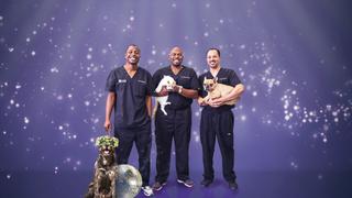 An Invisible Obstruction Leaves Dog Diesel in Pain