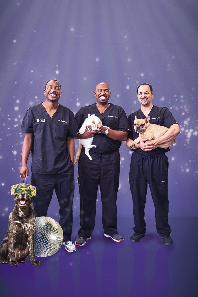 The Vet Life: Extras