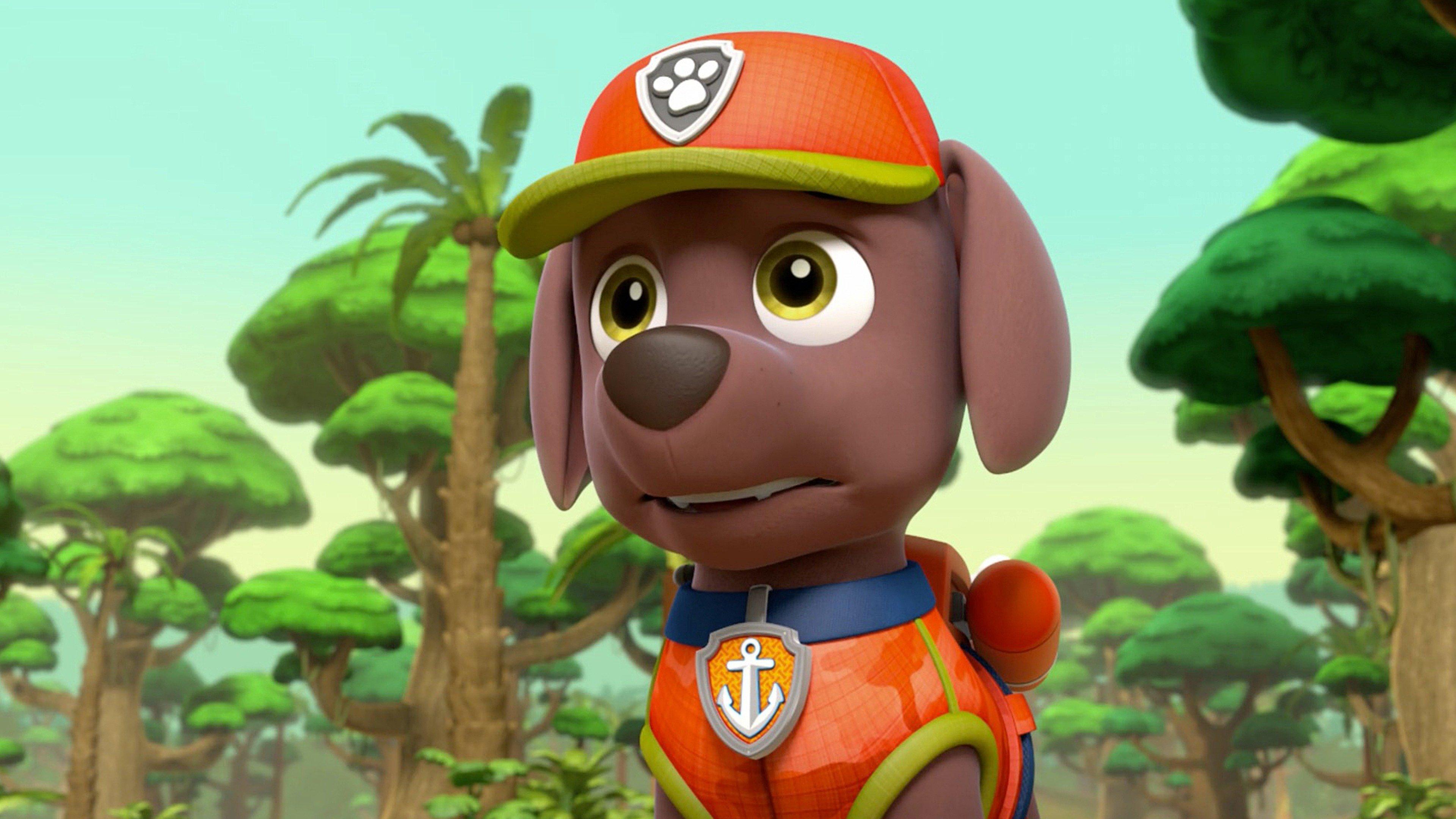 PAW Patrol: Pups Save Big Paw; Pups Save a Hum-Mover