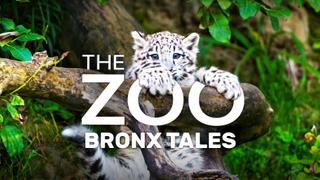 The Zoo: Bronx Tales