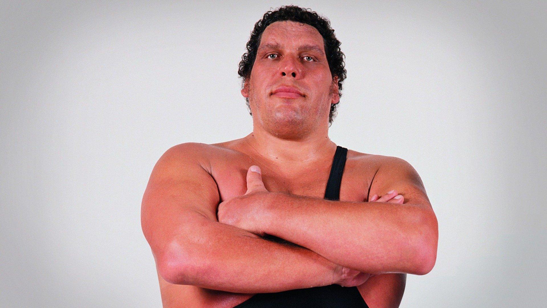 Andre The Giant 4376