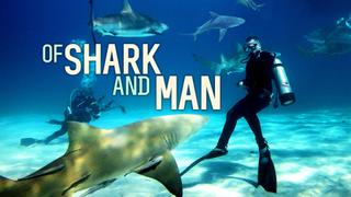  watch Of Shark and Man