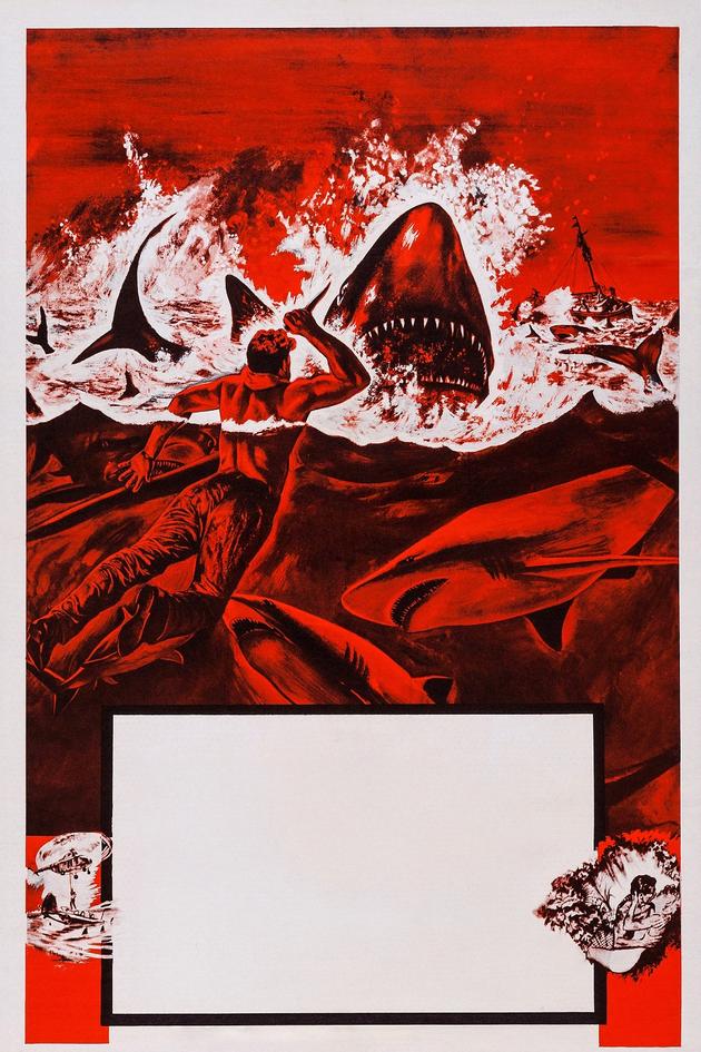 The Sharkfighters