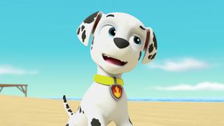PAW Patrol