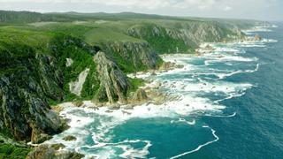 Wild South Coast