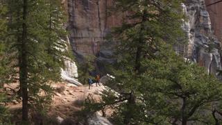 Grand Canyon National Park: Rim to Rim Grand Canyon National Park: Rim to Rim